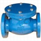 DIN Swing Check Valve