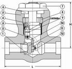 Forged Steel Pressure seal Swing Check Valve