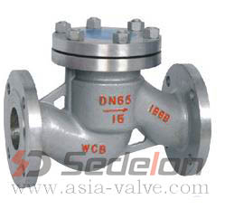 DIN Swing Check Valve