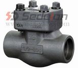 Piston Check Valve