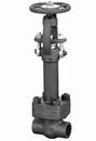 Cryogenic Globe Valve