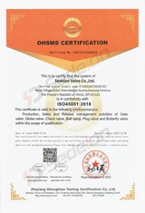 Globe Valves Manufacturers & suppliers